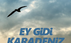 Karadeniz üzerine kapsamlı ve keyifli bir okuma; Ey Gidi Karadeniz
