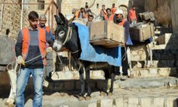 Mardin'in simgesi 'Çöp Eşeklerinin' görevleri sona eriyor