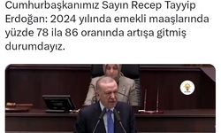 Erdoğan'ın emekli maaş artışı sözlerini paylaşan vekile eleştiri: Hiç mi insan içine çıkmıyorsunuz