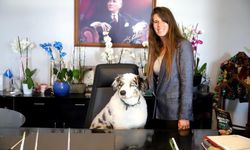 Çeşme'de konser tartışması; Köpeğim sadece hareketleriyle bile sizden daha mantıklı davranışlara sahip