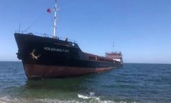 Rusya'dan Gemlik'e hayvan yemi taşıyordu... Mudanya açıklarında karaya oturdu!