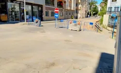 Güzelyalı Bursa yolu hala ulaşıma açılmadı!