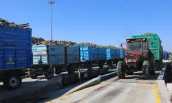 Konya'da pancar alımları başladı... Bu yıl verim iyi!