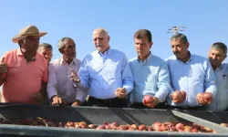 TZOB, yeniden uyardı: Patates ve kuru soğana müdahale şart!