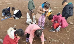 Diyarbakırlı çocuklar meşe tohumlarını toprakla buluşturdu