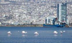 İzmir, tsunami için uyarı sistemi kuracak!