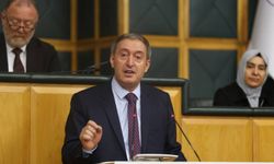 DEM Parti, grup toplantısını Nusaybin'de yapacak