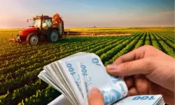 Tarımsal destekler saat 18.00 itibariyle hesapta