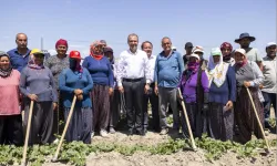 Çiftçinin yüzünü güldüren hamle