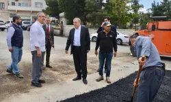 Mardin'de Başkan Şahin'den asfalt çalışmalarına yakın mercek