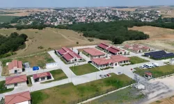 Büyükşehir sahipsiz hayvanlara umut oluyor