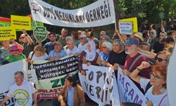 Zeytinlik düzenlemesi; TBMM Genel Kurulu'nda görüşme, dışarıda protesto