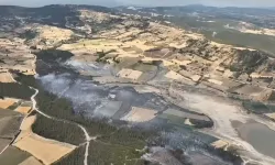 Bursa Yenişehir’deki orman yangını kontrol altında