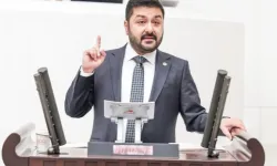 CHP’li Yazgan’dan ayçiçeği ithalatındaki vergi indirimine tepki