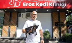 İzmir Bornova’da 'Eros Kedi Kliniği' açıldı