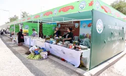 Kayseri Talas'ta kışa hazırlık günleri başlıyor; Kazan da tuz da belediyeden
