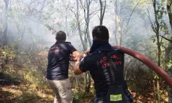 Kocaeli Büyükşehir'den Karamürsel yangını için seferberlik