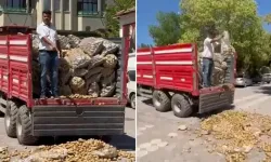 Fiyatları protesto için patatesi sokağa döken ve bedava dağıtan CHP'li çiftçiye cezayı Bakan Yardımcısı açıkladı