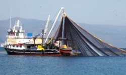 Balıkçılık gemi sayısı yüzde 65 arttı