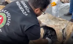 İki operasyonda 310 kilogram esrar ve 291 kilogram kokain ele geçirildi