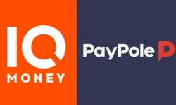 IQ Money ve Paypole ödeme hizmetlerinin faaliyet izinleri iptal edildi