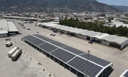 Muğla Karaçulha Hali kendi elektriğini üretecek