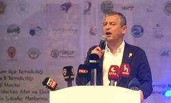 Özel: İktidar, 23 yılda 11 kez zeytine Meclis zemininde saldırdı