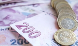Maliyeti değerini geçen bir madeni para daha tedavülden kalkıyor; TL, 1 lira ile 200 lira arasına sıkıştı
