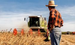 Tarım Ürünleri Üretici Fiyat Endeksi, 7 ayın en hızlı artışını gösterdi