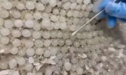 Gelinliğin üzerine boncuk şeklinde işlenmiş 25 kilo 400 gram uyuşturucu madde ele geçirildi