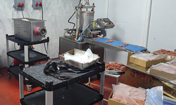 Ankara'da 1 ton 200 kilogram, Şanlıurfa'da da 1 ton bozuk et ele geçirdi