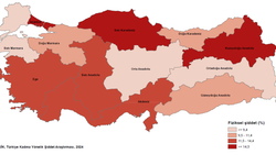 TÜİK, ilk kez yaptığı "Kadına Yönelik Şiddet" araştırmasının sonuçlarını açıkladı