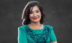 Tiyatroya giderken "Cumhurbaşkanına hakaret"ten tutuklandığı iddia edilen akademisyenin avukatları konuştu