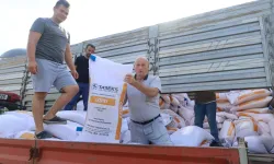 Kocaeli'de çiftçiye yüzde 75 hibeli tohum desteği