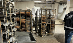 Hayvansal deri ve kemik parçaları hazır köfte üretiminde kullanılmış; 63 bin 795 kilogram ürüne el konuldu