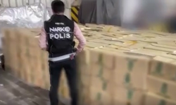 Derince Limanı'nda 1 ton 508 kilogram skunk ele geçirildi