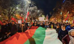Bulgaristan'da bütçe planı ve yolsuzluk protestoları hükümetin istifasıyla sonuçlandı