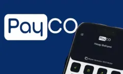 PAYCO Elektronik Para ve Ödeme Hizmetleri AŞ'ye yönelik ikinci operasyonda 28 gözaltı