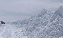 Van'da kar nedeniyle bazı mahallelere ulaşım sağlanamıyor bir ilçede okullar tatil edildi