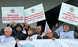 "Emekli aylıklarının günün koşullarına göre yeniden düzenlenmesi talebimiz, yine duymazdan gelindi"