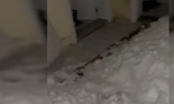 Van'da çığ düşmesi sonucu bir kişi aranırken, 22 ev boşaltıldı