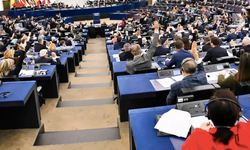 AP, Türkiye'den "N-82 ve G-87 idari güvenlik kodlarını kullanmayı derhal durdurmasını" isteyen kararı oyladı