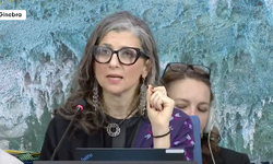 "İsrail'e, fiilen Filistinlilere zulmetme izni verildi... Filistin'de kaybedilen, hepimiz için kaybedilmiş olacak!"