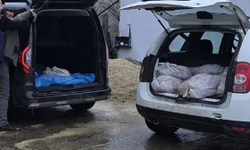 Silivri'de 306 kilo at eti ele geçirildi