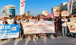 Türk Tabipleri Birliği'nden, Diyarbakır’dan Ankara’ya “Beyaz Yürüyüş”