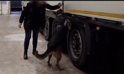 Kapıkule Gümrük Kapısı'nda 1 ton 413 kilo esrar ele geçirildi