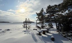 9 yıldır "dünyanın en mutlu ülkesi" seçilen ülkenin cumhurbaşkanı sırrı açıkladı