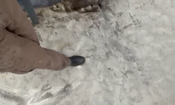 Tahran'a "siyah yağmur" yağıyor