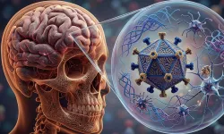 İngiltere'de menenjit salgınında iki genç yaşamını yitirdi, 11 yeni vaka bildirildi