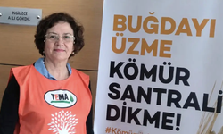 NATO Zirvesi öncesi tutuklanmıştı; 75 yaşındaki emekli öğretmen ve TEMA Vakfı gönüllüsü tahliye edildi